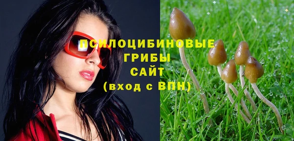 кокаин Алексин