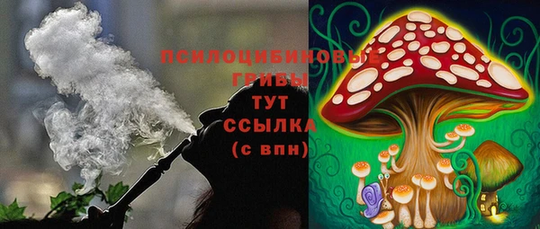 Альфа ПВП Алзамай