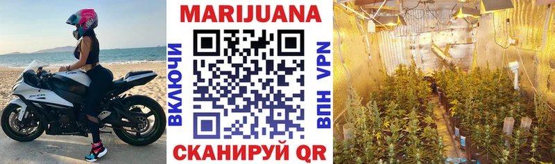 МАРИХУАНА план  Боготол 